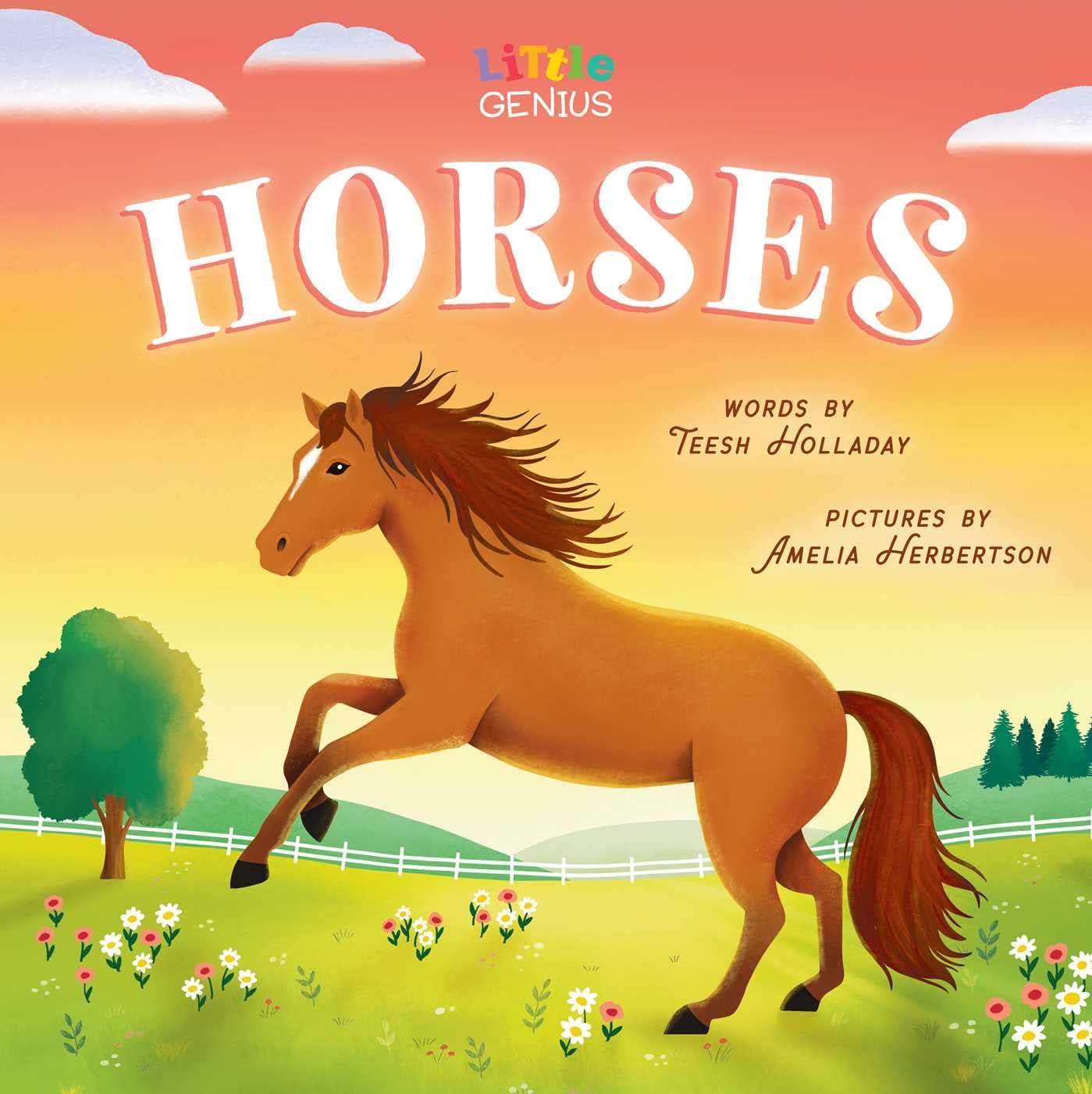 Amelia Herbertson Little Genius Horses