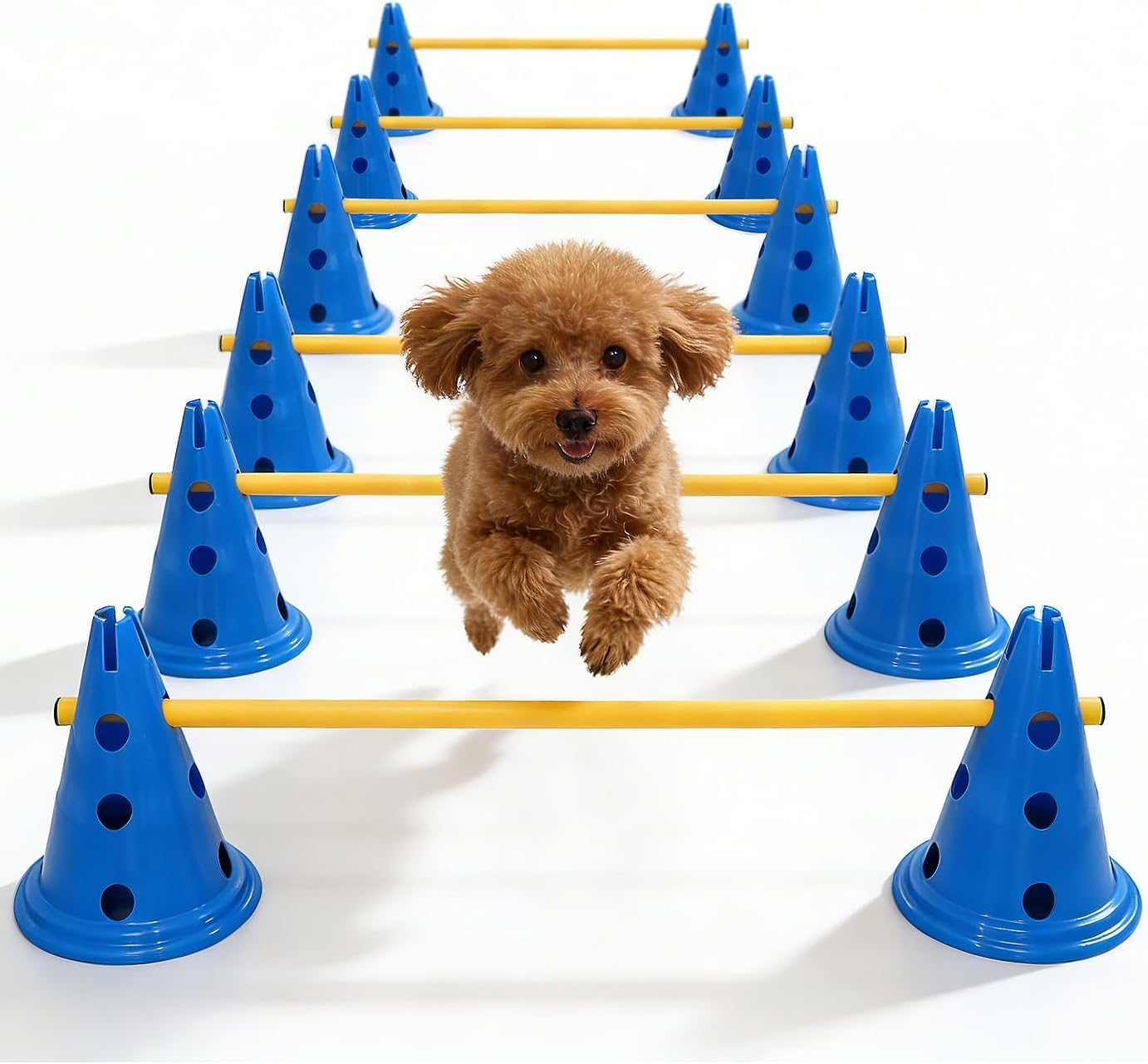 Dog Agility Equipment, 12 Inch Adjustable Hurdle Cone Set with 12 Cones & 6 Rods for Indoor Outdoor Training, Puppies & Rehabilitation.