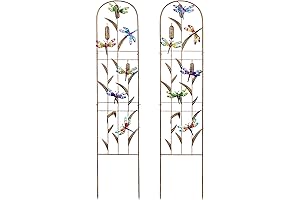 SUNNYPARK Narrow Dragonfly Trellis: Expand Vertical Greenery Outdoors