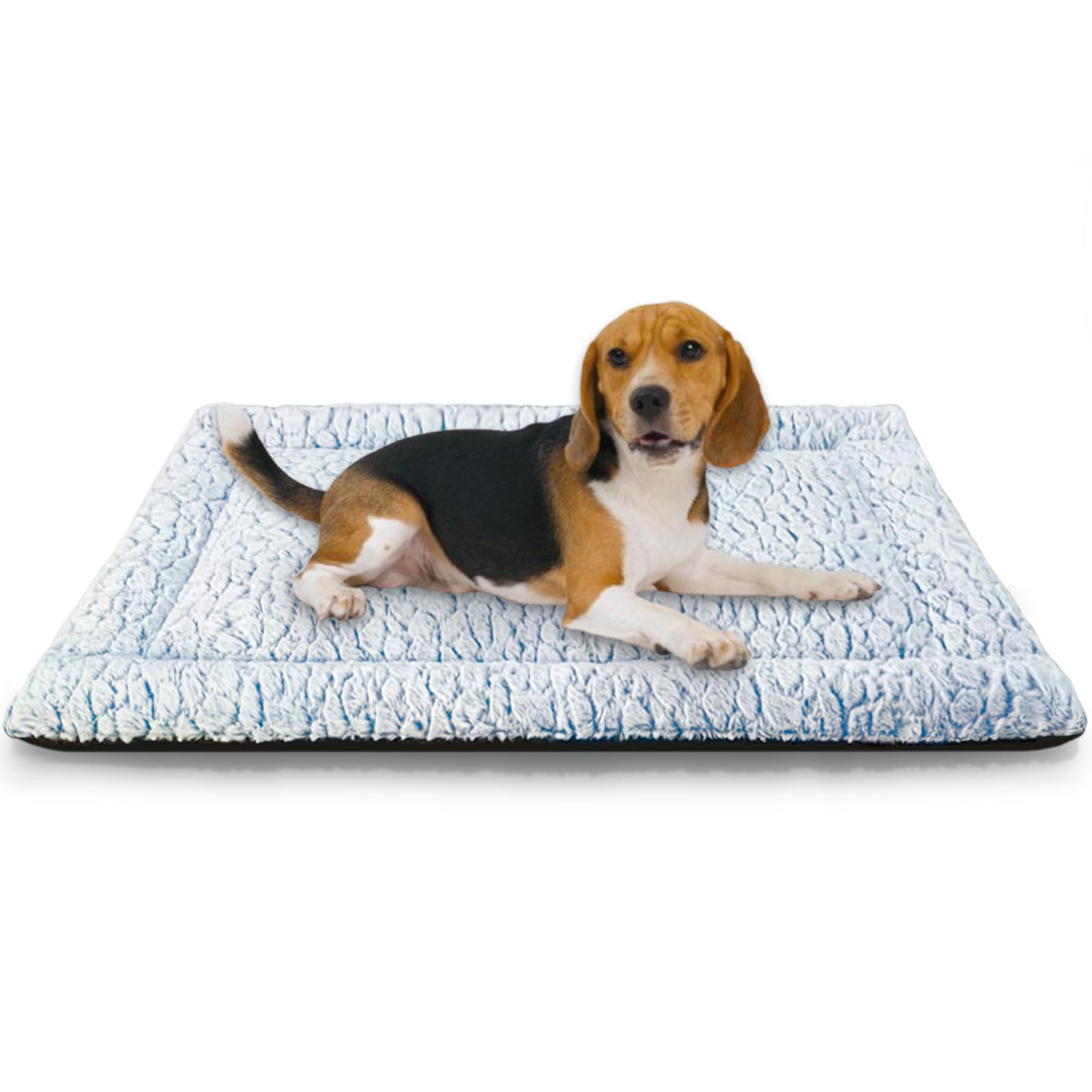 Tapis Chien Court en Peluche pour Chiens de Moyen Taille, Matelas Chien, 94 x 61 cm, Bleu