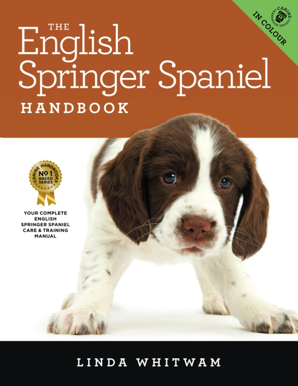 The English Springer Spaniel Handbook: The Essential Guide to English Springer Spaniels (Full Colour Edition) (Canine Handbooks)
