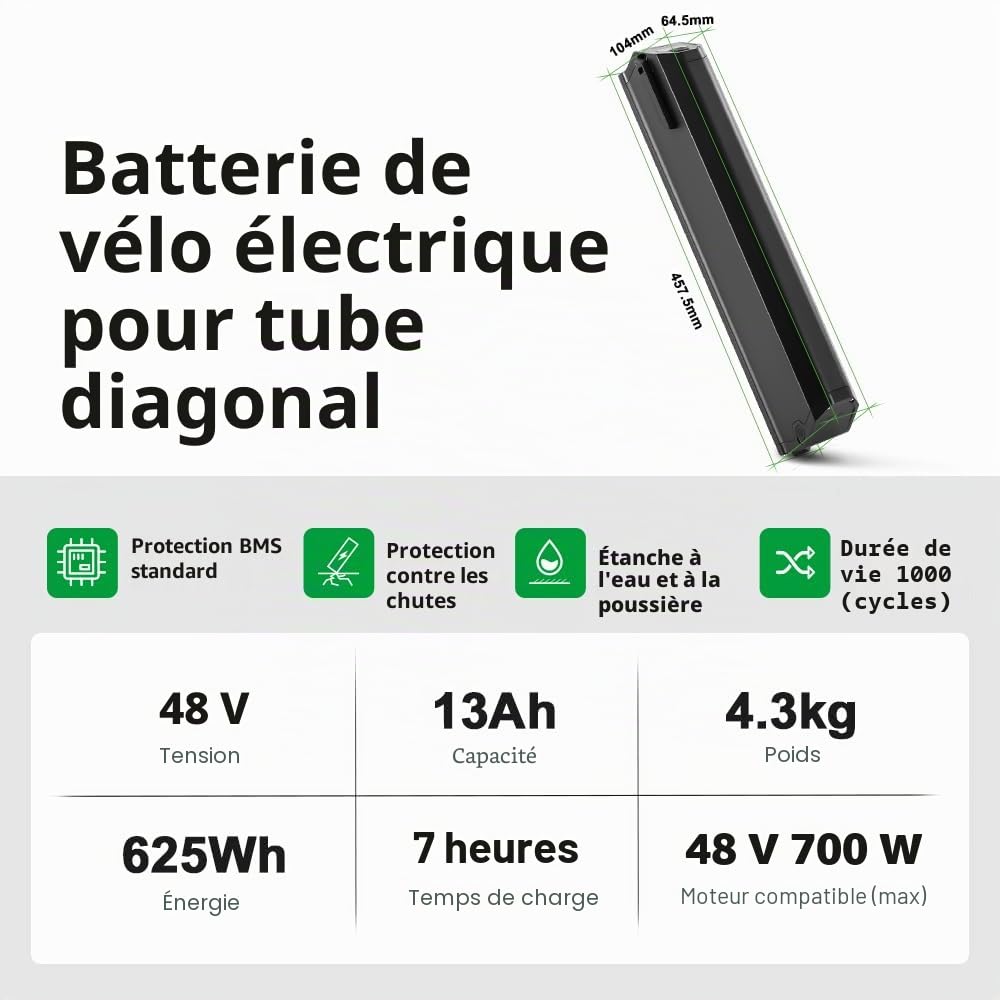 REENTION Dorado-Plus Batterie de Vélo Électrique 48V 13Ah