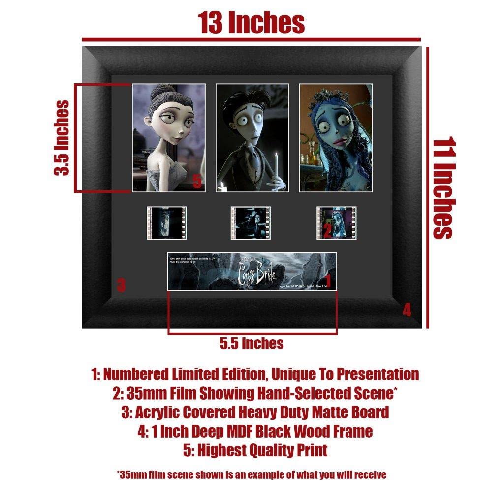 FilmCells USFC5489 Tim Burtons Corpse Bride, gerahmte Wandkunst, 27,9 x 33 cm, mit drei 35 mm Filmclips und Echtheitszertifikat, Sammlerstück