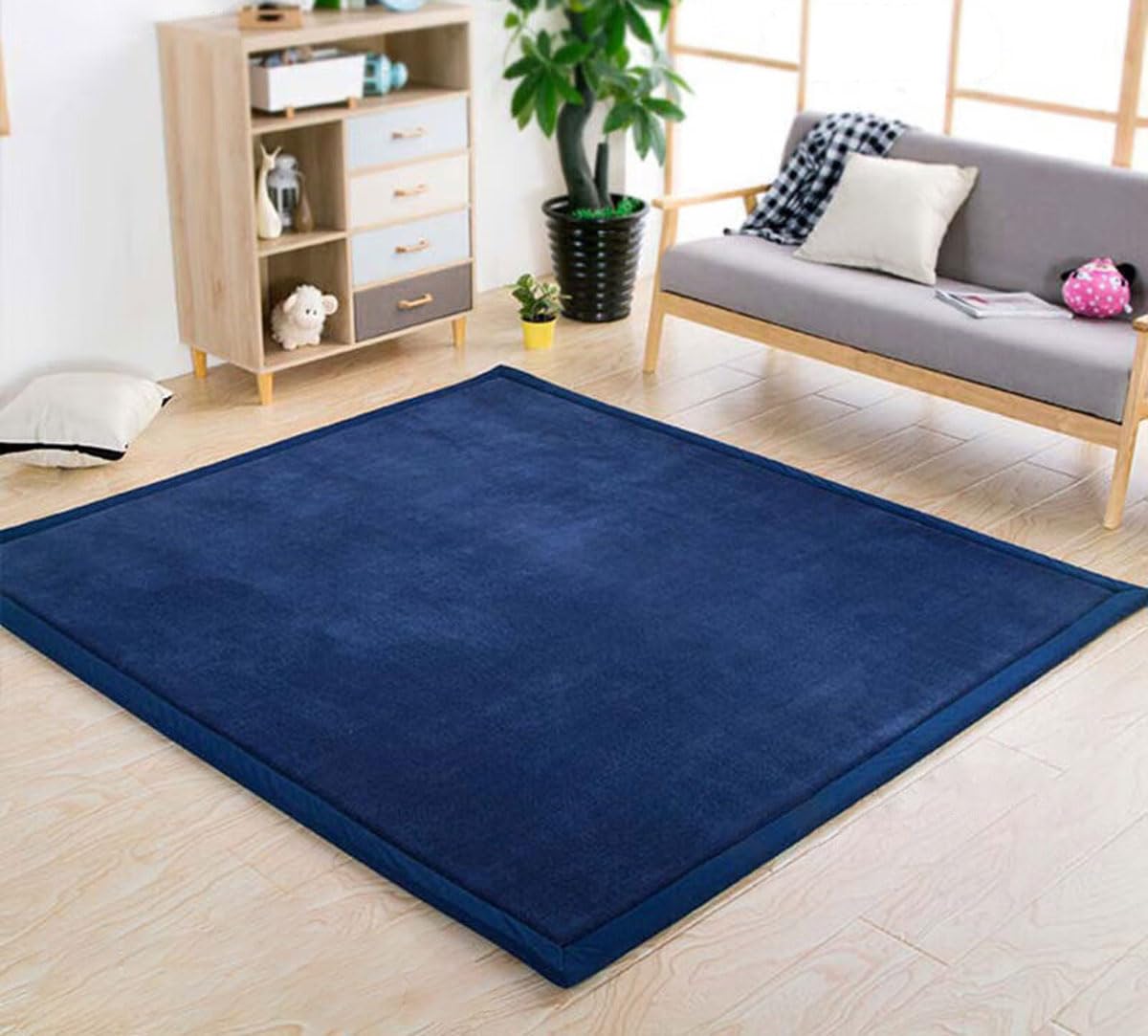 DSSHENGDS Living Room Home Decor Coral Fleece Area Rug,Modern Nursery Washable Kids Bedroom Rug,Girls Boys Soft Non-slip Soft Mat,2cm Thick Kids Carpet-G- 200 * 260cm