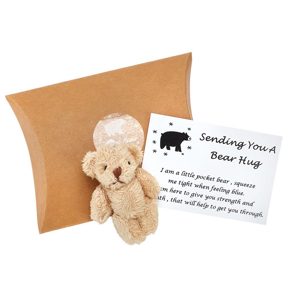 CRAFTYMELODY Little Pocket Bear Hug Cute Pocket Hug Stuffed Animals 63.5x34x26.5mm with Paper Card Sending You a Bear Hug Support Distance Memorial Gift for Men Women Graduation Bithday Thanksgiving
