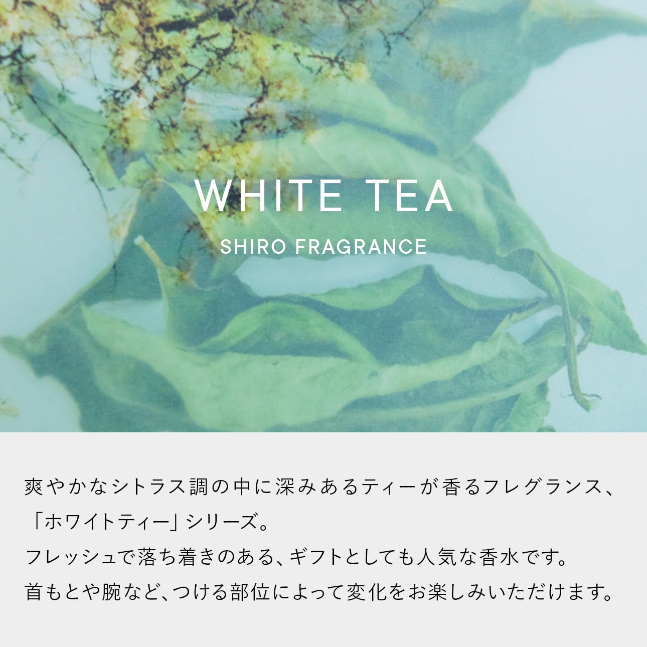 シロ　SHIRO バスソルト　ホワイトティー SHIRO（SHIRO） ホワイトティー バスソルト 通販 | 【ISETAN BEAUTY