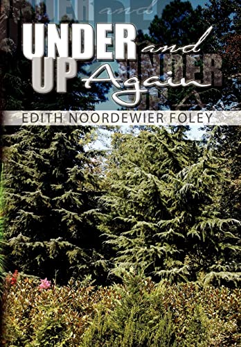 Under and Up Again view 2