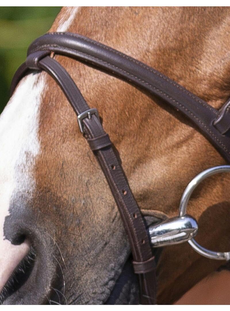 RIDING WORLD Bridon Combinée - Couleurs - Havane, Taille Equipement Cheval - COB