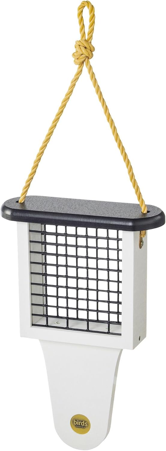 Birds Choice Modern Farmhouse Suet Feeder with Tail Prop, Holds 1 Suet Cake | Hanging Suet Bird Feeder for Woodpeckers, Jays, Nuthatches | Rustic Backyard Decor | Black & White, 7.6"L x 3"W x 11.75"H