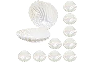 Seashell Container 10Pcs Creative Wedding Party Storage