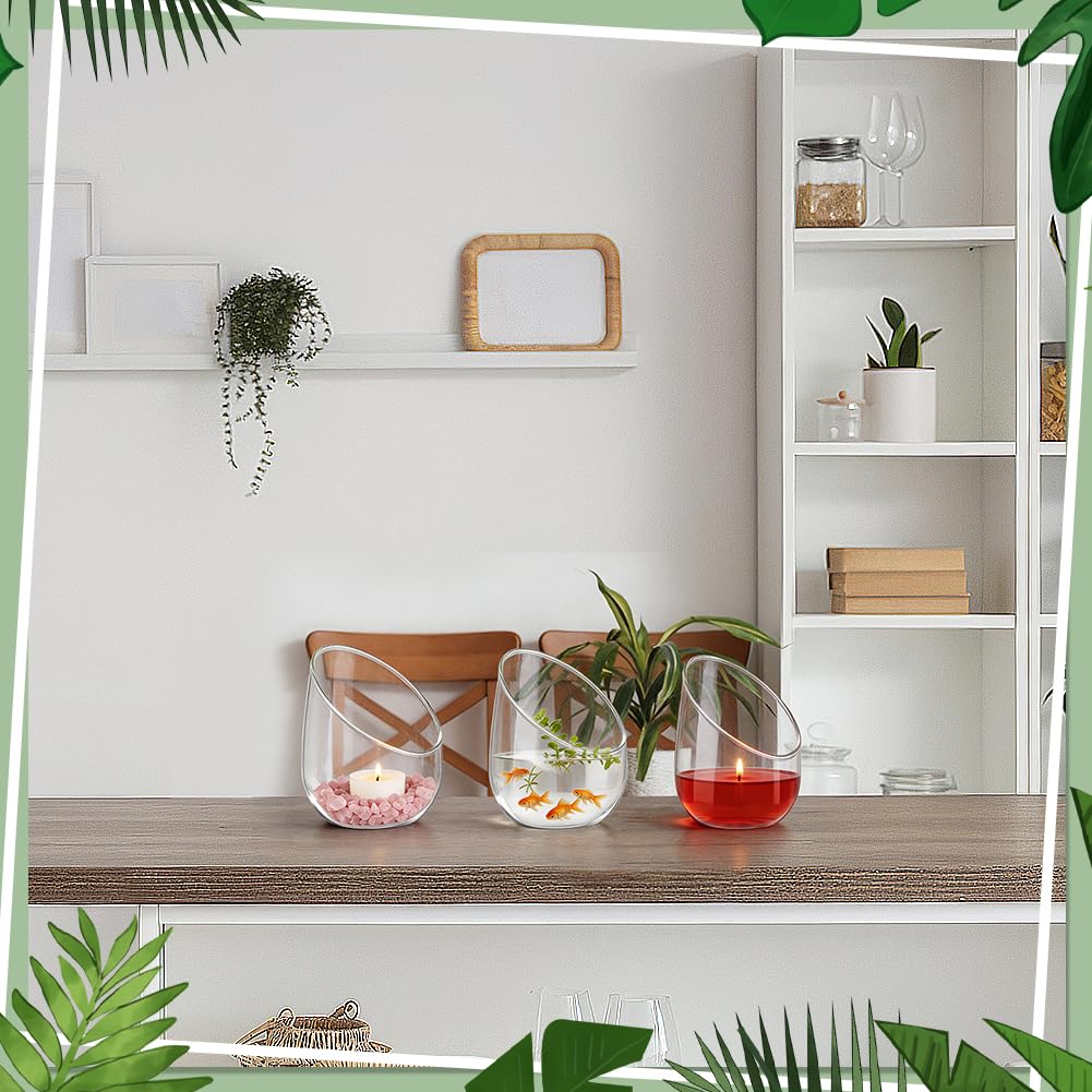 6 Terrarium en Verre Transparent pour Plantes Aériennes Vases Ronds en Verre Transparent de 12.2cm Vase/Terrarium pour Plante Succulente et Cactus Idéal pour la Décoration Intérieure