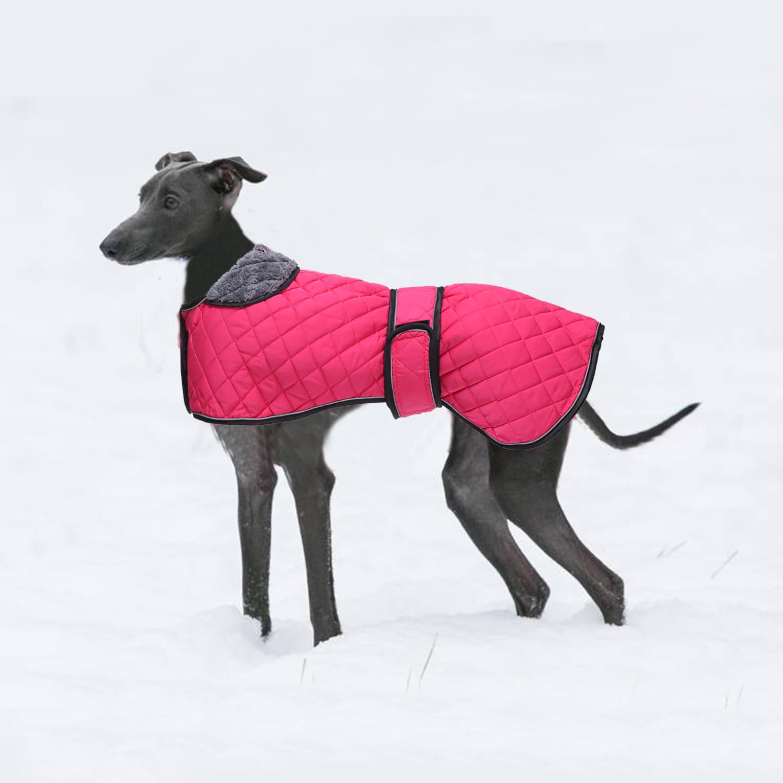 Wasserdichter Hundemantel fr Windhunde, Whippet-Lurcher-Mantel,  Winterjacke mit Fleecefutter, verstellbare Outdoor-Haustierbekleidung fr  mittelgroe oder groe Rassen, Rosa, Gre XXXL : Amazon.de: Haustier