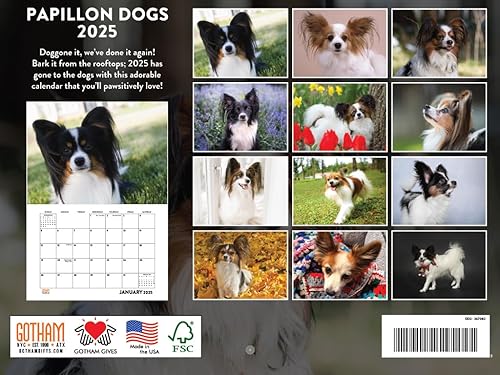 Vista 442 de Calendario Goldendoodle 2026 Golden Doodle mensual de pared calendario de 12 meses Fabricado en Estados Unidos