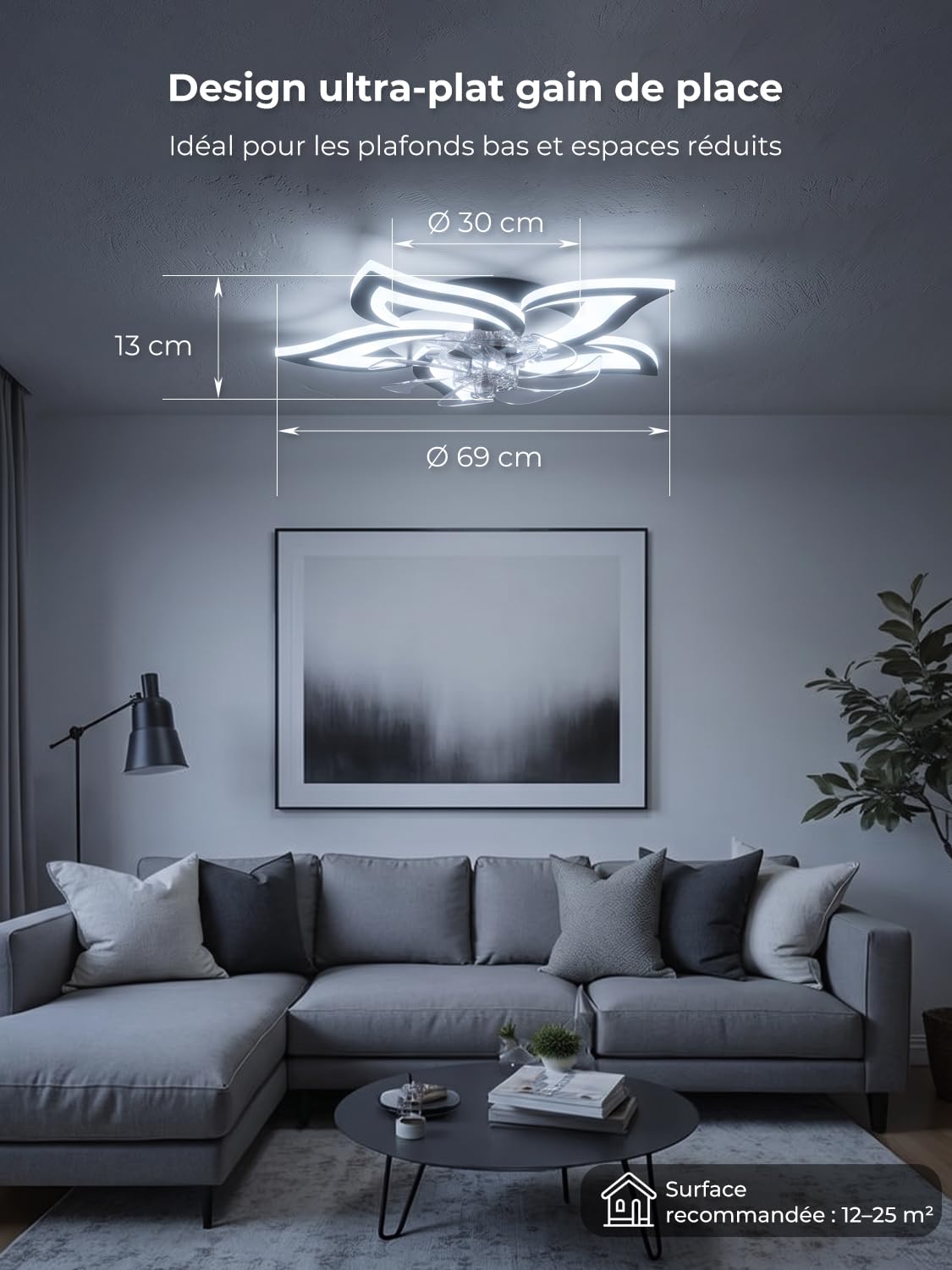 Plafonnier Ventilateur de Plafond Compatible avec Alexa et Google Assistant, Ventilateur Plafond avec Lumiere Silencieux, Moteur DC Eté Hiver, Dimmable, Fonction Mémoire, pour Chambre, Noir