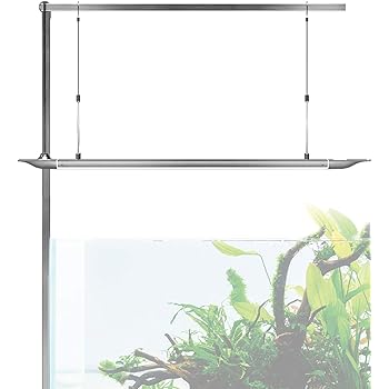 fish tank system