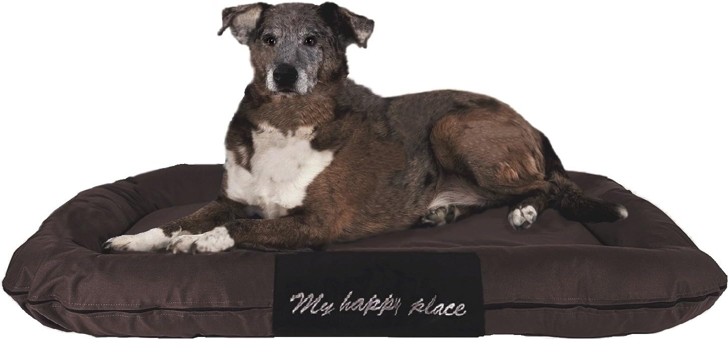 Luxury Orthopedic Solid Memory Foam Pet Bed Pad with External Strong Tough Oxford Waterproof Cover Case for Small to Extra Large Dog (48x30 inches, Brown)