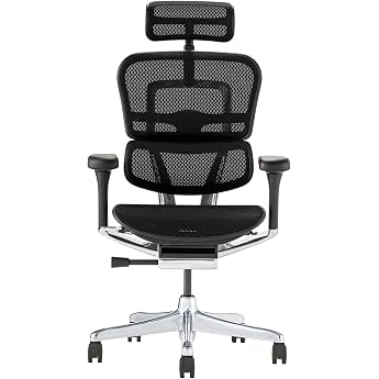 Ergohuman EHP2-HAM-DR-BF-BK Pro 2, Black/Black