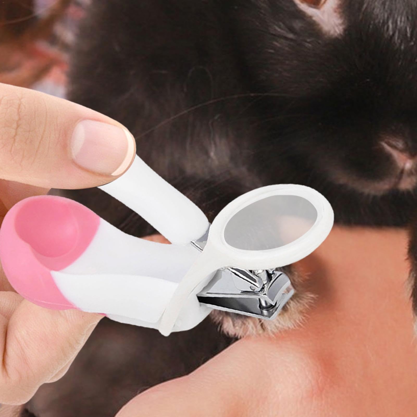 Coupe-ongles pour cochon d'Inde | Coupe-ongles multifonction pour hérisson, hamster, lapin