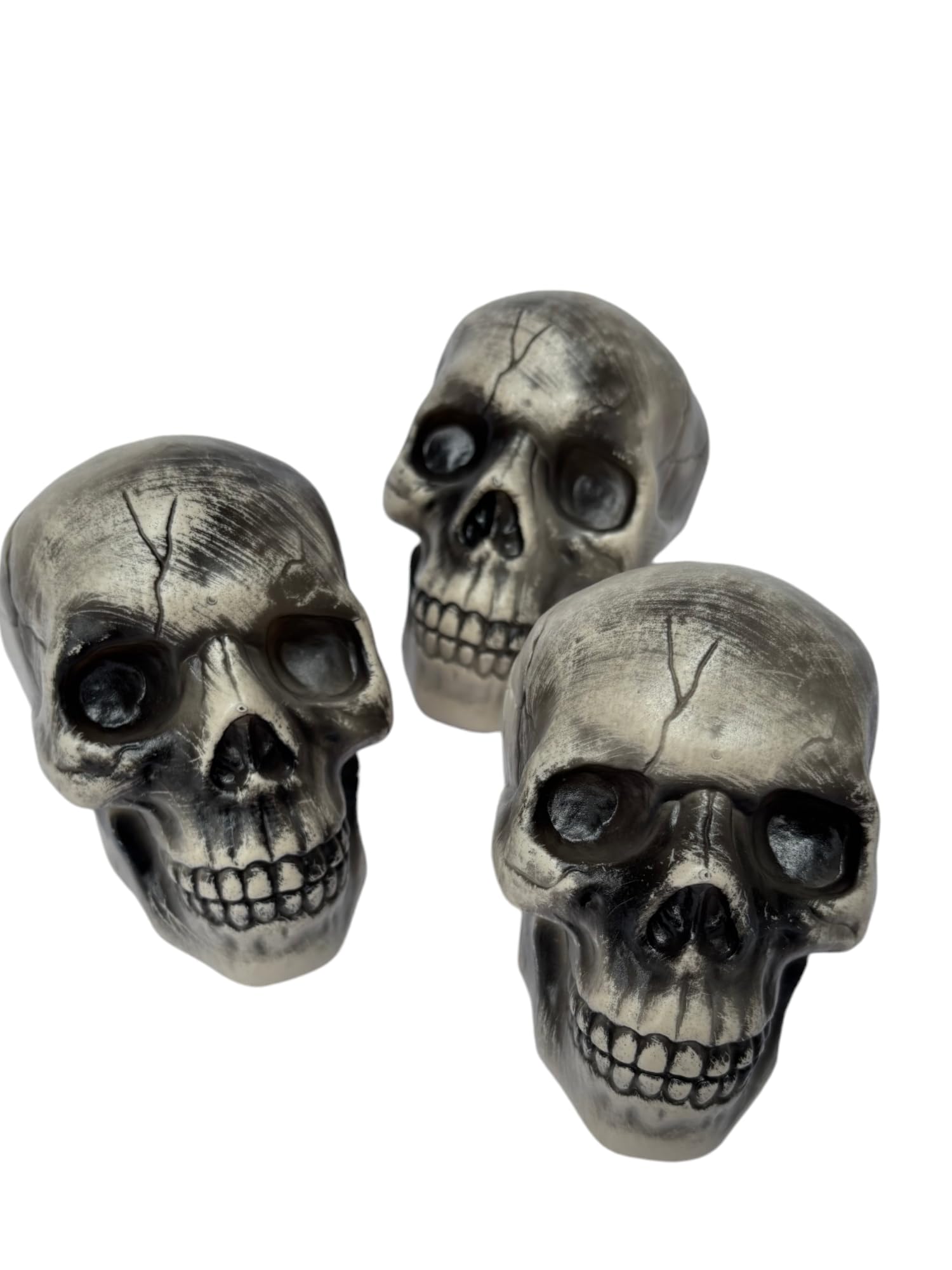 3 Pieces Halloween Skulls Realistic Looking Skulls Human Skeleton Head Skull for Halloween Bar Home Table Decoration 3pcs Size 4 inch