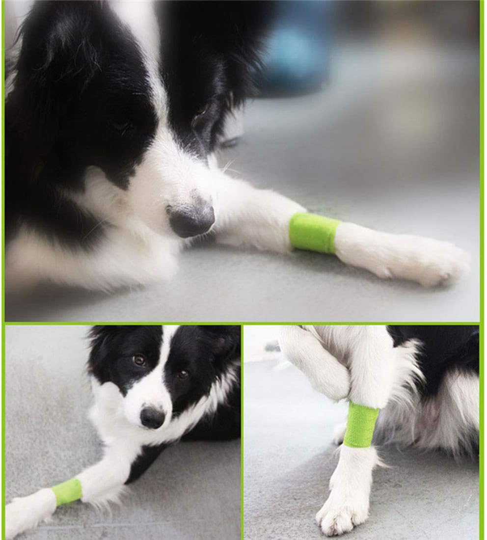 Amazon Co Jp Tianmen ペット用 包帯 犬用包帯 粘着テープ 猫 犬 粘着包帯 自己粘着 4サイズ セット ストラップバンド 人にも使える 伸縮 ガーゼ テープ 怪我予防 老犬 介護 床ずれ テーピング グリーン タイプ2 ドラッグストア