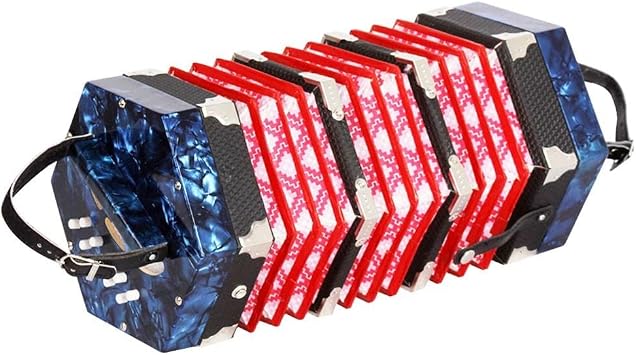 Hexagon Accordion with Carrying Bag, 20-Button Concertina for Adults Kids, Professional Playing Keyboard Music Instruments