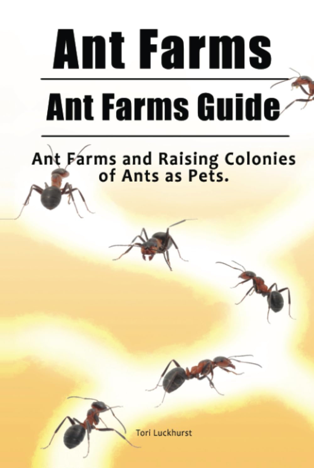 Ant Farms. Ant Farms Guide. Ant Farms and Raising Colonies of Ants as Pets.
