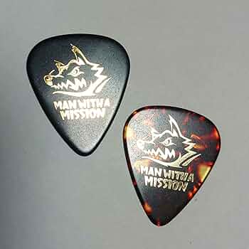 マンウィズピック 617SChwc8QL._AC_UF350,