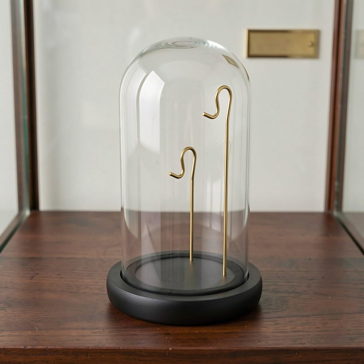 VALICLUD Pocket Watch Glass Display Case with Gold Hook and EVA Base image 5