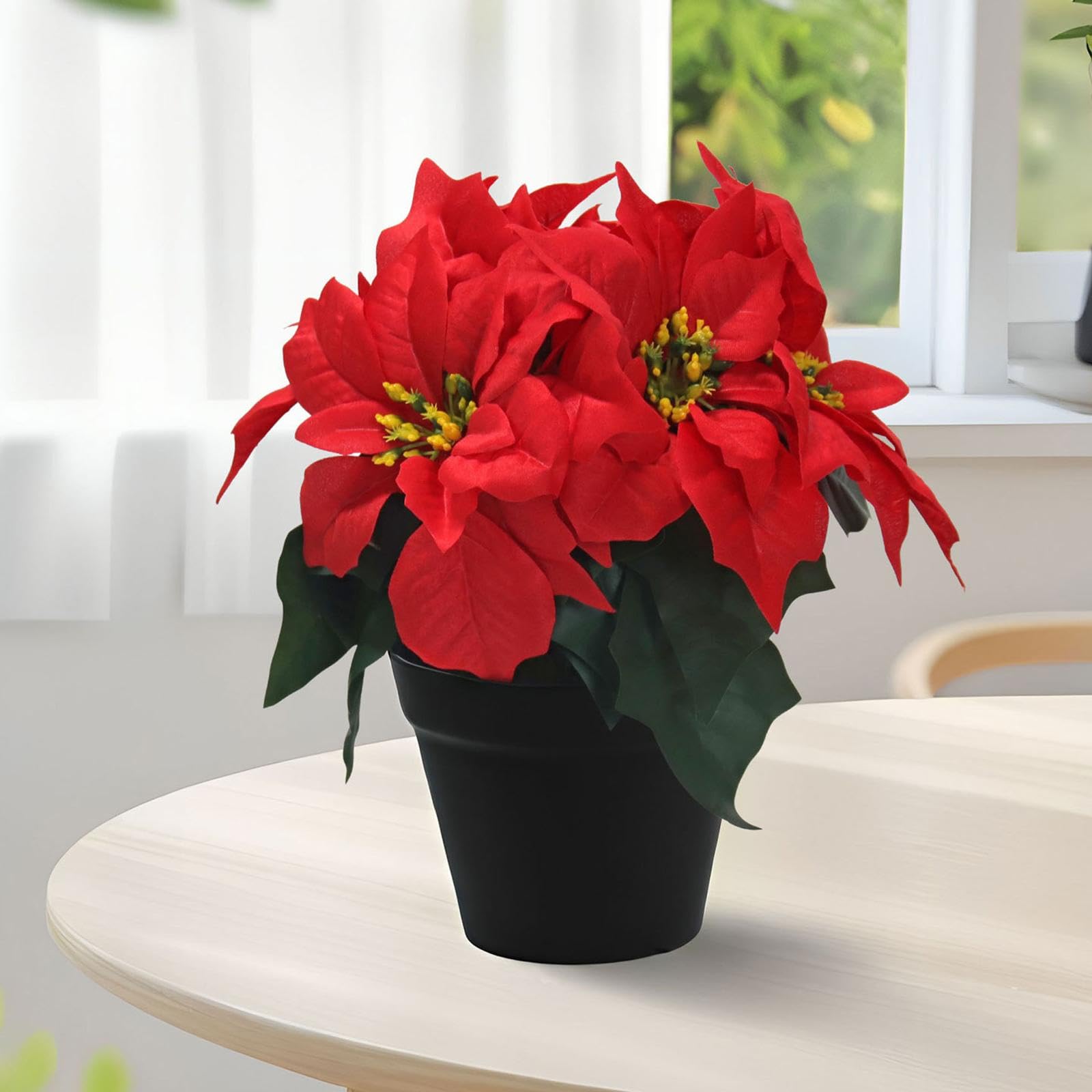 Amazon｜Folpus 【新登場】ポインセチアの花 クリスマス 鉢植え 鉢花