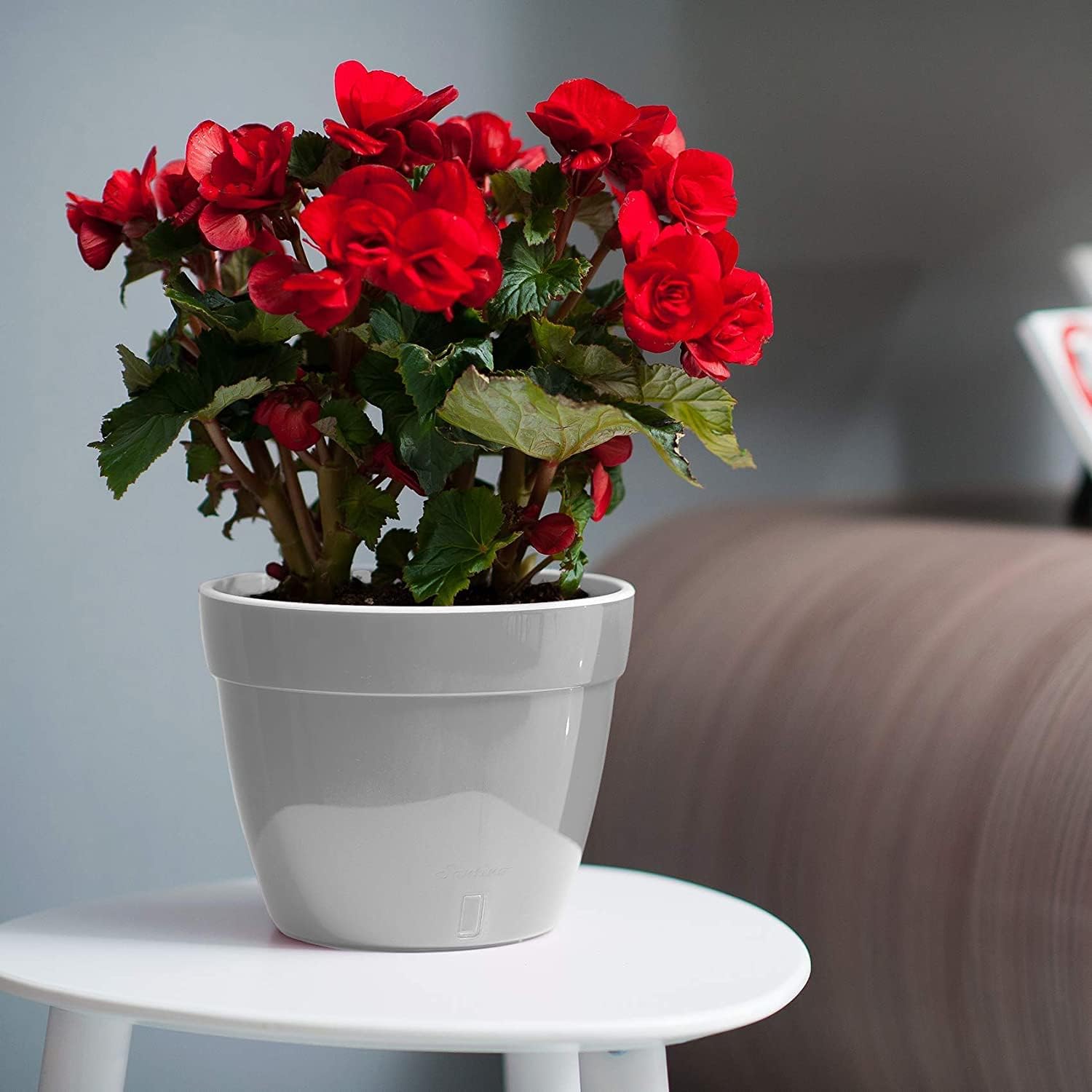 Santino ASTI 7.1 Inch Self Watering Planter for Indoor Plants - Image 4