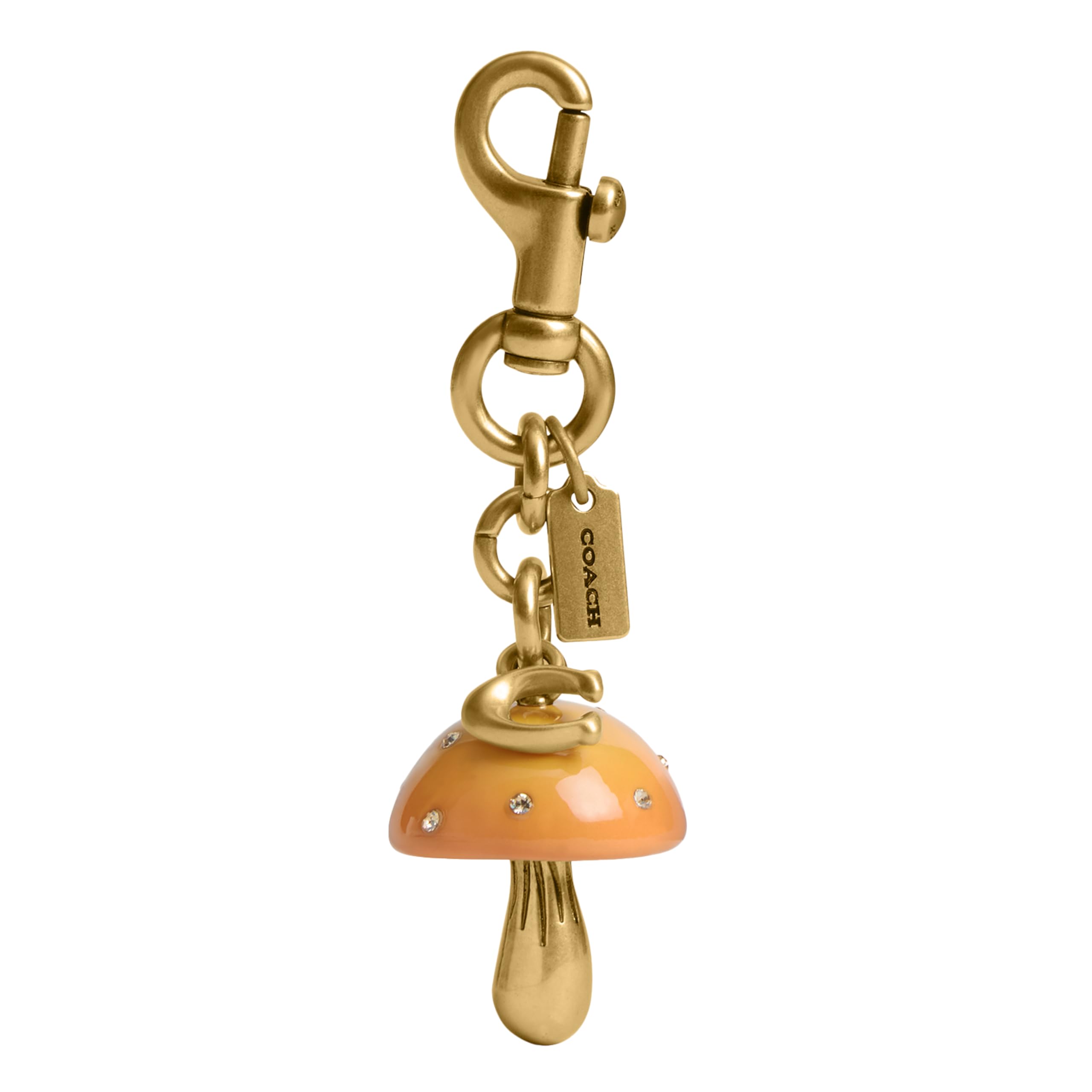 Coach Cherry Charm