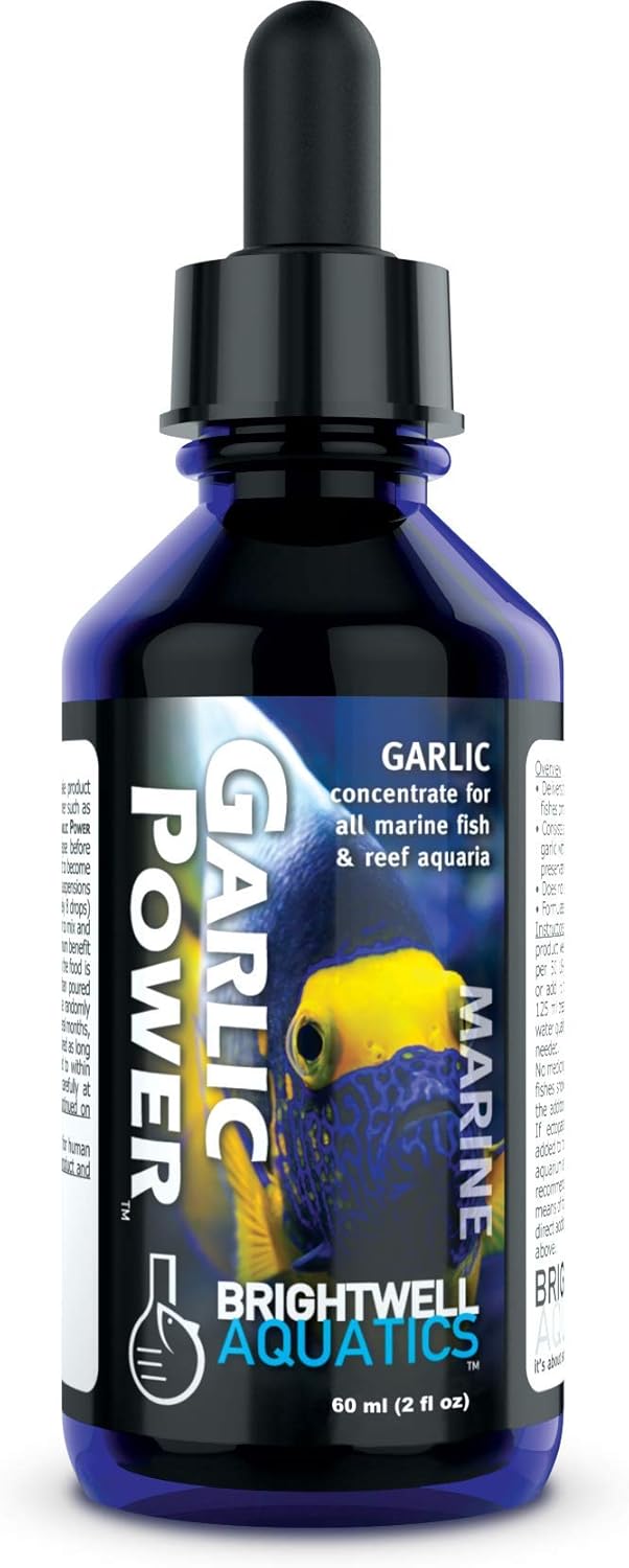 Brightwell Aquatics GarlicPower Garlic Extract for Aquarium Fish Food – Enhances Feeding Response – Boosts Nutrition – Ideal for Marine & Reef Tanks, 60 ml