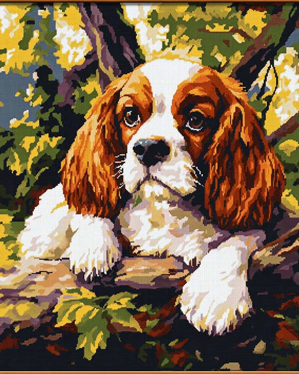 Broderie facile : Kit point de croix 11 ct pré-imprimé Charles Spaniel sans compter les fils
