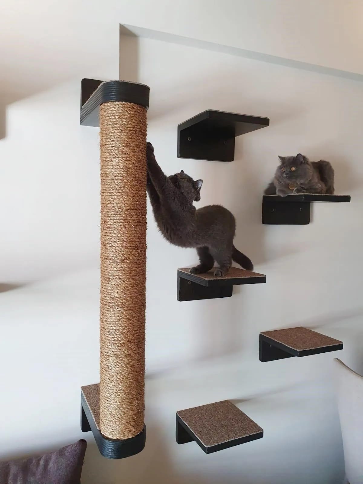 House of Meows | Panther’s Perch Black Pole Scratcher with 5 Shelves Set (B0D47HVSCD) Amazon Price History, Amazon Price Tracker