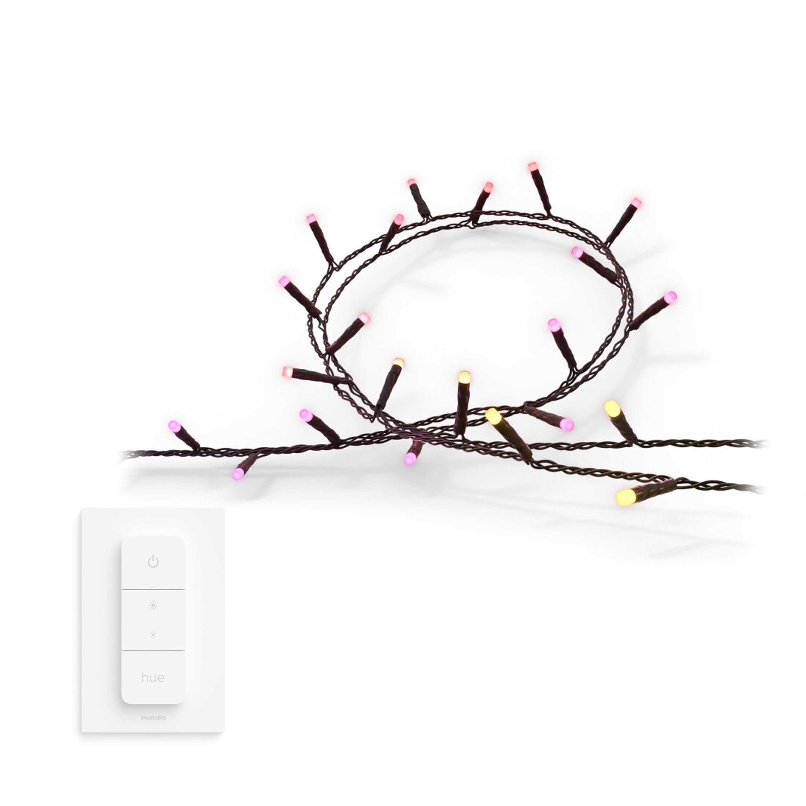 Philips Hue Festavia - Guirnalda de luces LED (500 ledes, 40 m, luz blanca y de colores, incluye interruptor de atenuación), color blanco y blanco