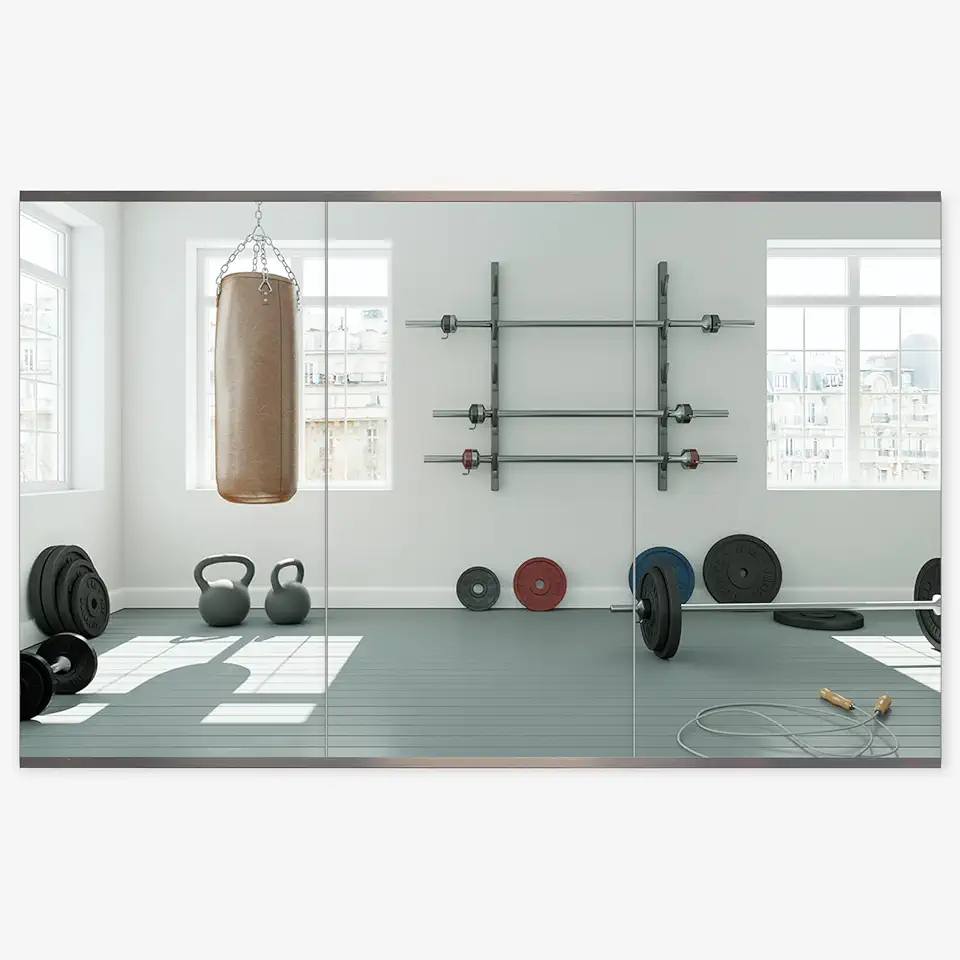 Honyee Home Gym Mirror, 48" x 24" x...
