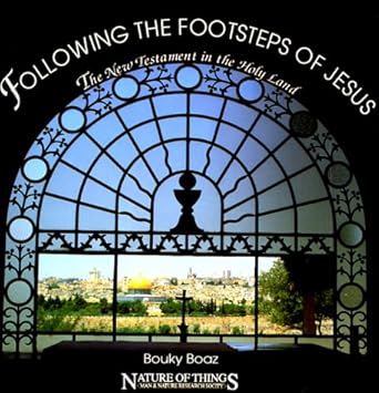 Amazon Following The Footsteps Of Jesus The New Testament In The
