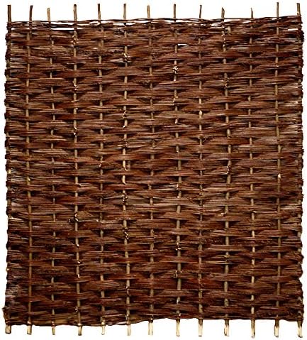 stripping fox terrier