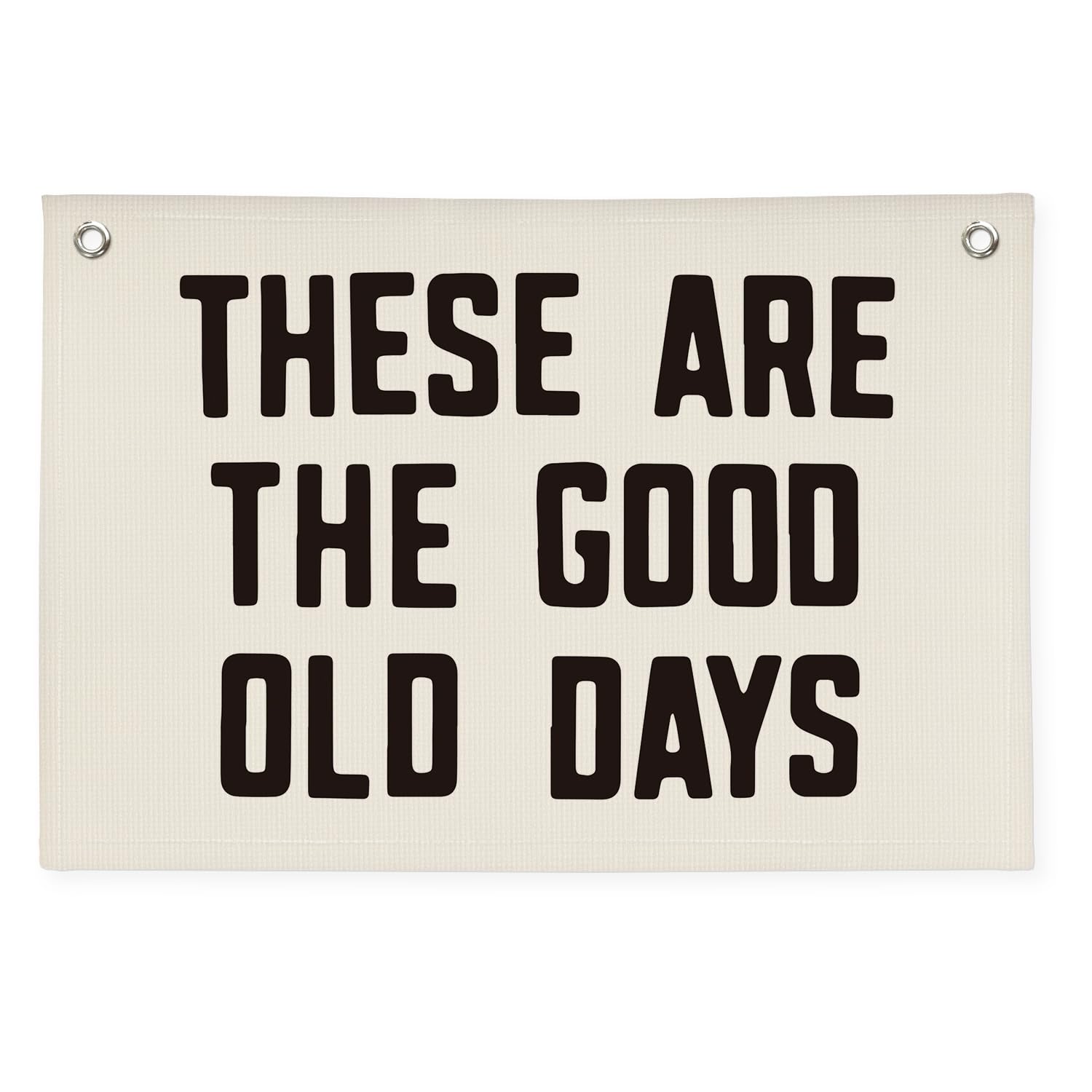 XYDEG Kid Room Decor These Are The Good Old Days Canvas Banner,Banners for Room,Nursery Decor Inspirational Wall Decor Motivational Posters for Dorm Wall Decor Living Room Banner 30x20 Inch