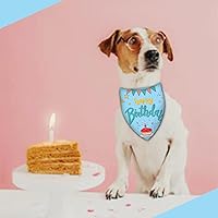 Vista 28 de Sunflower with Leaves Dog Bandana Washable Pets Scarf Triangle Adjustable Handkerchief, Double Sided Printing, Black,Sunflower (Large)