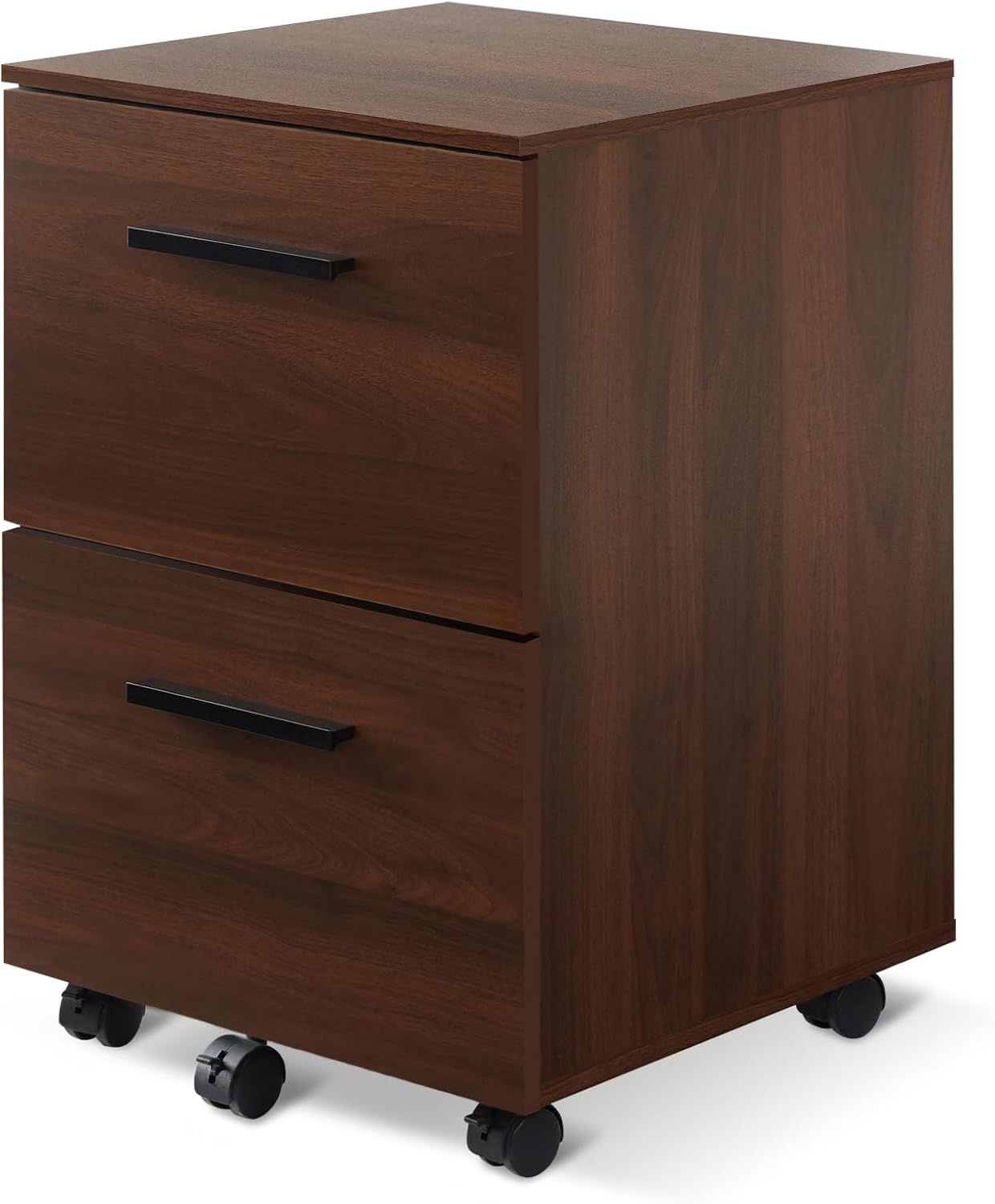 VICLLAX 2 Drawer Mobile Filing Vertical File