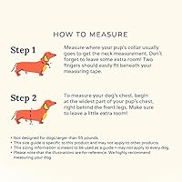 Vista 63 de Lucy & Co. Arnés para perro Midnight No-Pull – Talla M – Chaleco para dejar de tirar y caminar fácil – Cómodo producto de entrenamiento de correa