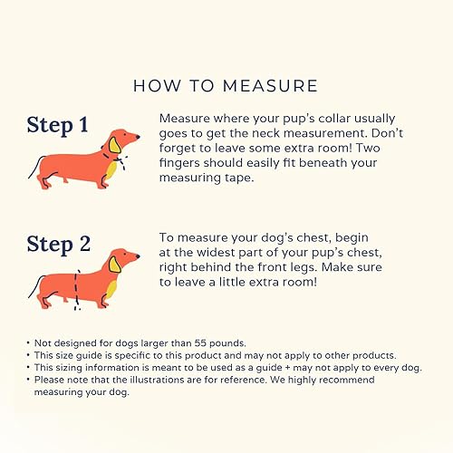 Miniatura 62 de Lucy & Co. Arneses reversibles para perros pequeños, medianos y grandes, acolchados, ajustables, para pastor alemán, pug, Bulldog francés, Bulldog