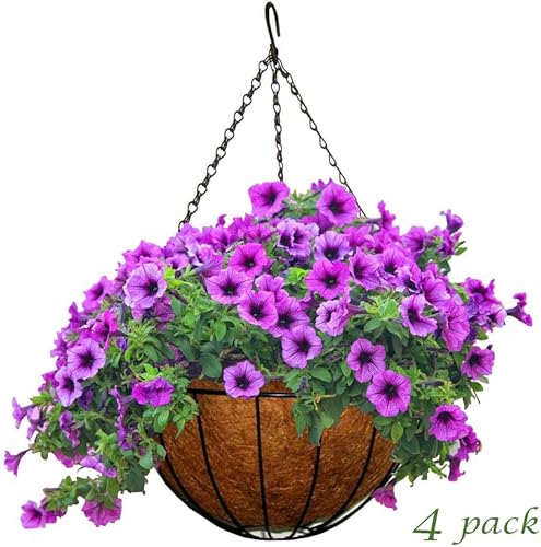 Miniatura 4 de MTB - Cestas colgantes de jardín de 16 pulgadas, estilo tradicional con forro de coco, paquete de 2 para decoración del hogar, balcón y patio