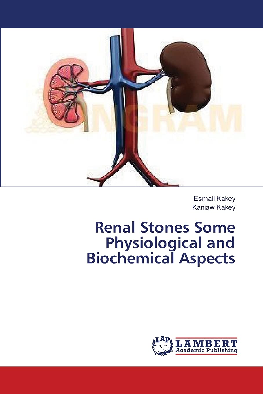 Renal Stones Some Physiological and Biochemical Aspects