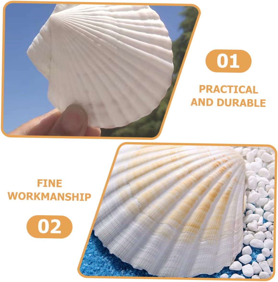 12pcs Natural Baking Shells Serving Dishes Pastry Plates Sea Shell Decor
