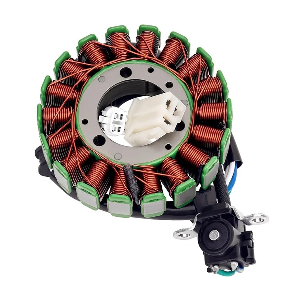 Stator de générateur moto YS250 YBR250 alternateur 5D1-H1410