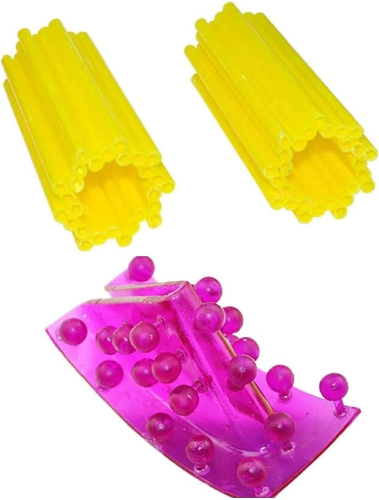 Pflanzenzellorganellenstruktur-Anatomiemodell, Pflanzenzellorganellenmodell, mit Chloroplasten, dem Zentralkörper, Mitochondrien, biologischem Lehrinstrument, for Lehrstudien.