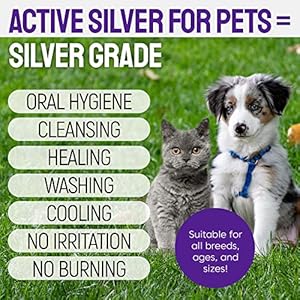 Teeth-Gum-Spray-for-Dogs-and-Cats--Dental-Formula-for-Dog-Mouth-Rinse-Cat-Mouth-Care--Cat-Dog-Fresh-Breath-Clean-Teeth-No-Pain-Or-Burning--Dog-Plaque-and-Tartar-Remover-4-Oz - Cucciolini Doodles   Teeth-Gum-Spray-for-Dogs-and-Cats--Dental-Formula-for-Dog-Mouth-Rinse-Cat-Mouth-Care--Cat-Dog-Fresh-Breath-Clean-Teeth-No-Pain-Or-Burning--Dog-Plaque-and-Tartar-Remover-4-Oz