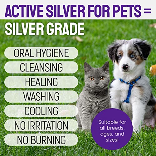 Teeth-Gum-Spray-for-Dogs-and-Cats--Dental-Formula-for-Dog-Mouth-Rinse-Cat-Mouth-Care--Cat-Dog-Fresh-Breath-Clean-Teeth-No-Pain-Or-Burning--Dog-Plaque-and-Tartar-Remover-4-Oz - Cucciolini Doodles   Teeth-Gum-Spray-for-Dogs-and-Cats--Dental-Formula-for-Dog-Mouth-Rinse-Cat-Mouth-Care--Cat-Dog-Fresh-Breath-Clean-Teeth-No-Pain-Or-Burning--Dog-Plaque-and-Tartar-Remover-4-Oz